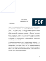 Análisis del Art. 43 de la CN Argentina | PDF | Habeas corpus | Ley común