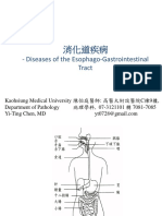 The Gastrointestinal Tract (Paramedical) - 陳怡庭 PDF