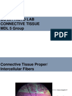 Os 201 Histo Lab Connective Tissue