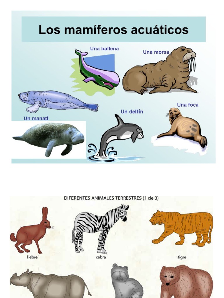 Animales Acuaticos Terrestres y Aereos