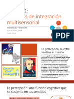 Práctica 2 - Procesos de Integración Multisensorial