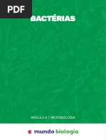 BACTÉRIAS