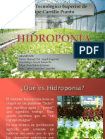 Ecotecnia HIDROPONIA