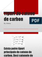 tipuri_de_catene_de_carbon.pptx