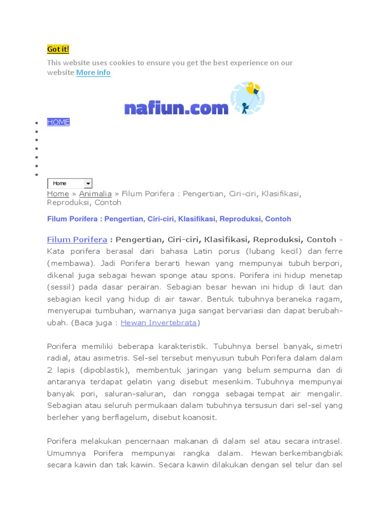 Filum Porifera