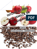 Monografia Intox. Por Semillas de Manzana