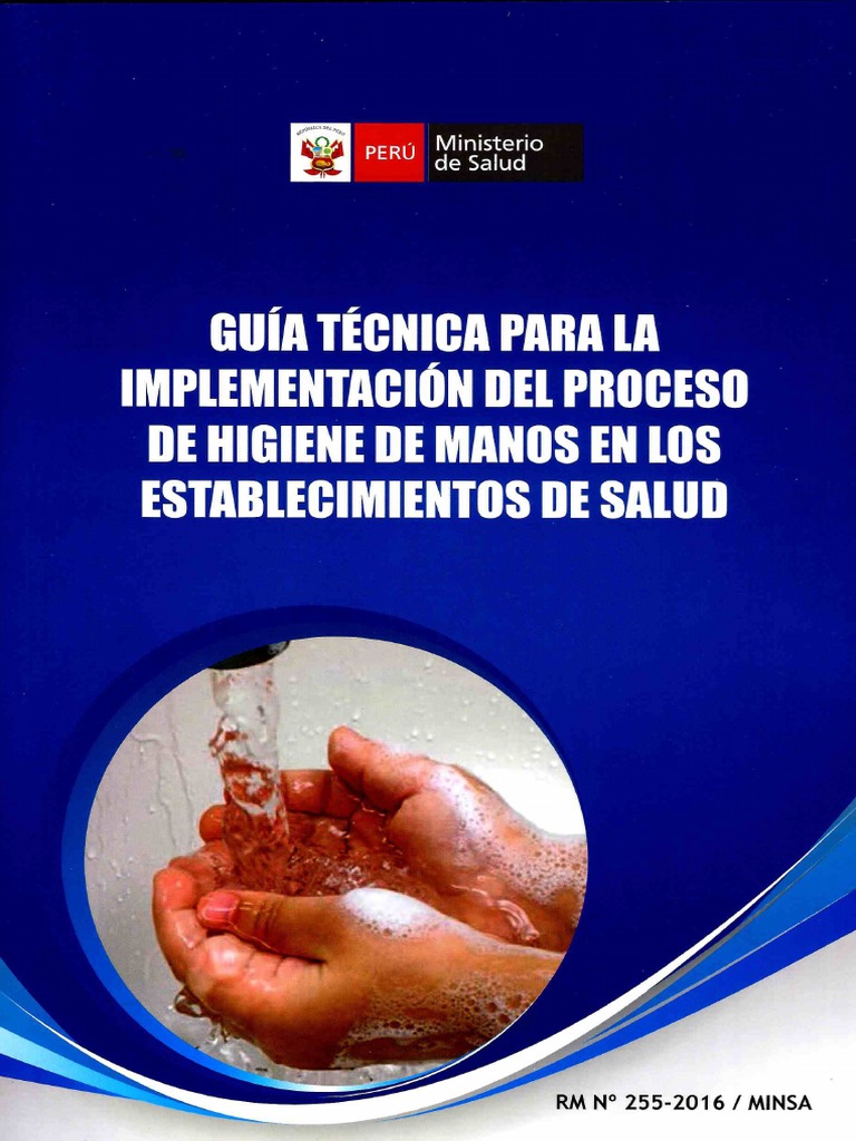 Guia Tecnica Lavado de Manos | PDF