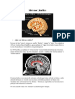 Sistema Límbico