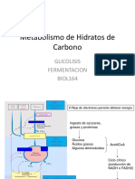 Metabolismo de Hidratos de Carbono