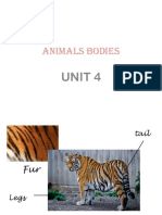 Animals Bodies: Unit 4