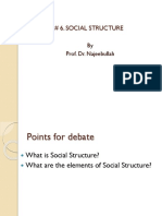 Lecture # 6. Social Structure: by Prof. Dr. Najeebullah