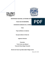 Apuntes-Flujo-Multifasico-en-Tuberias.pdf