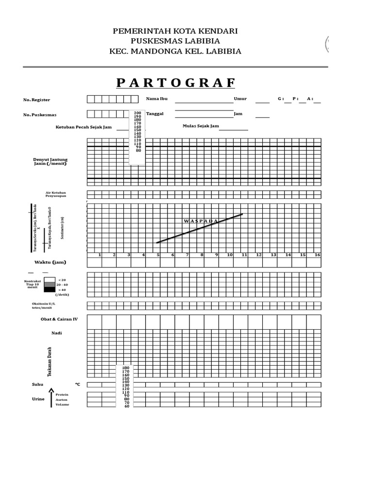 Blangko Partograf | PDF