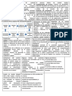 Resumen Adm 2