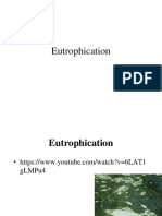 How excess nutrients cause eutrophication in aquatic ecosystems