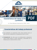 Caracteristicas Del Trabajo Profesional - Etica y Profesion