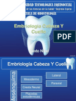 Embriología Cabeza Y Cuello