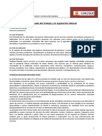 El Mercado Del Trabajo y La Legislación Laboral