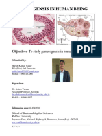 Objective:-To Study Gametogensis in Human Being