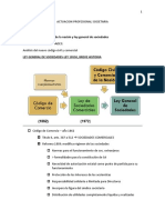 Actuacion Profesional Societaria