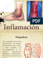 Inflamación Inmuno
