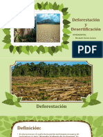 Deforestación y Desertificación