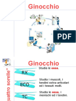 Presentazione Ginocchio.ppt