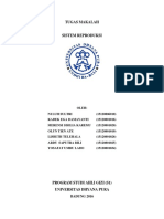 Makalah Sistem Reproduksi