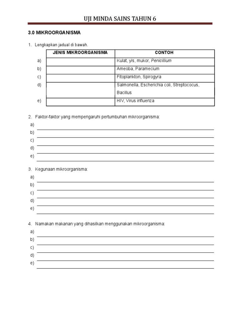 Uji Minda SN THN 6 Bab 1  PDF