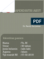 Presentation1 Appendix Randy