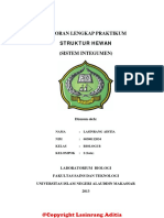 Laporan Sistem Integumen PDF