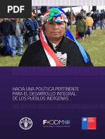 HACIA UNA POLÍTICA PERTINENTE PARA EL DESARROLLO INTEGRAL DE LOS PUEBLOS INDÍGENAS