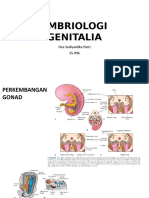 Embriologi Genitalia - Dea S. P