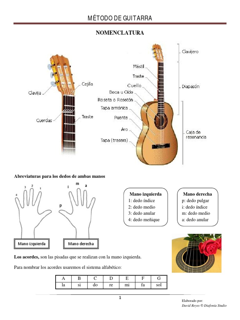 Acordes Guitarra Método De Guitarra 'Primeros Pasos' De FERNANDEZ J. -  Ideal Para Principiantes Aprende A Tocar La Guitarra, image size:768x1024