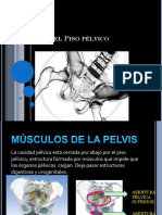 Anatomadelpisoplvico 120426032821 Phpapp01
