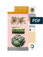 MICROPROPAGACIÓN Y PRODUCCIÓN DE PITAHAYA.pdf