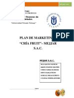 Plan de MarketingChia Fruit-Final