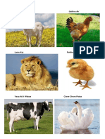 10 ANIMALES.docx