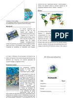 Ecosistema Terminado