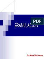 T.06-GRANULACIO.pdf