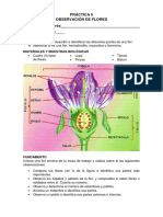 Práctica 05 - Botánica