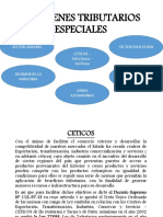 PRINCIPALES_REGIMENES_TRIBUTARIOS_ESPECIALES.pdf