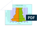 Piramide Poblacional