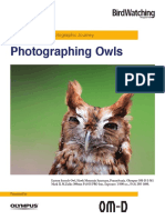 3 Photographing Owls PDF