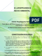 Análisis de la jurisprudencia constitucional en materia ambiental