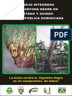 Sigatoka Negra2.cdr.pdf
