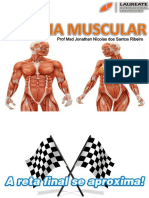 Aula Sistema Muscular Musculos - FG