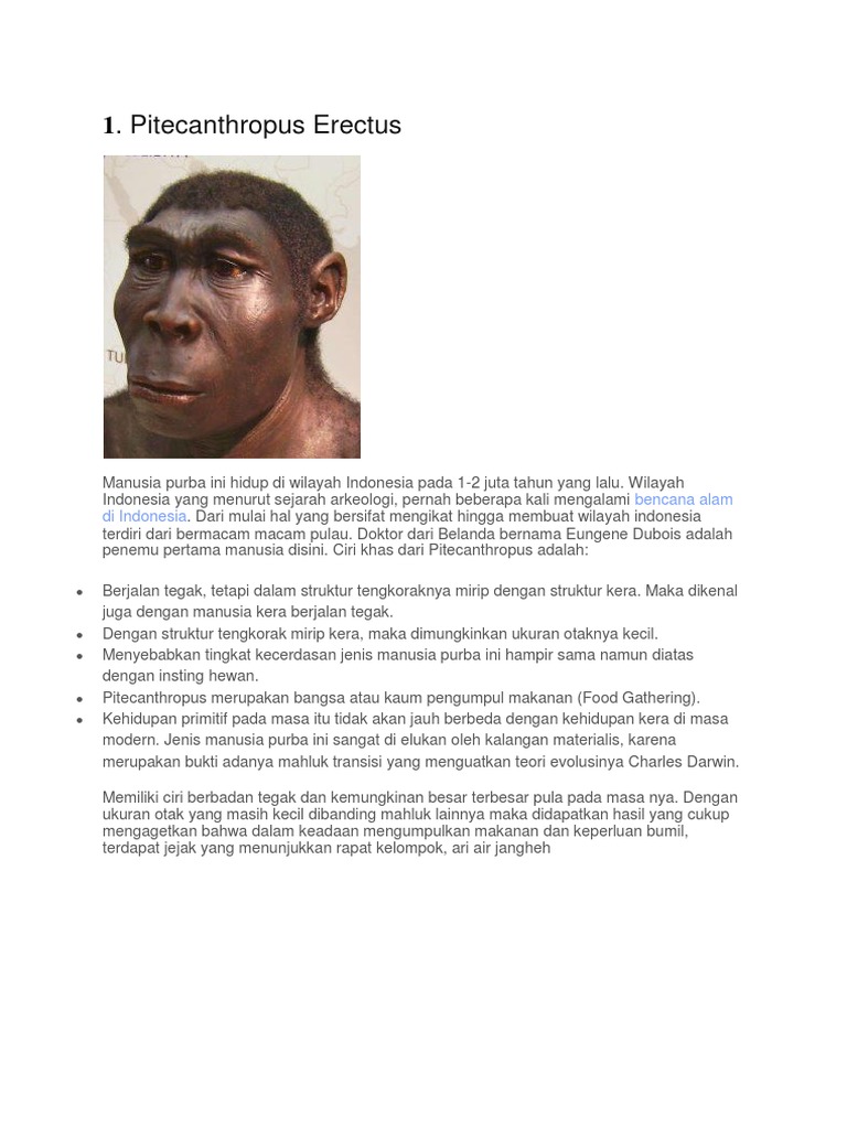 Ciri Ciri Kehidupan Manusia Purba Pada Masa Food Gathering