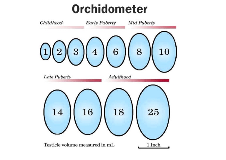 Orchidometer | PDF