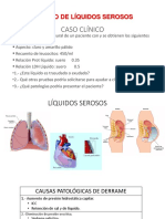 Líquido Serosos 